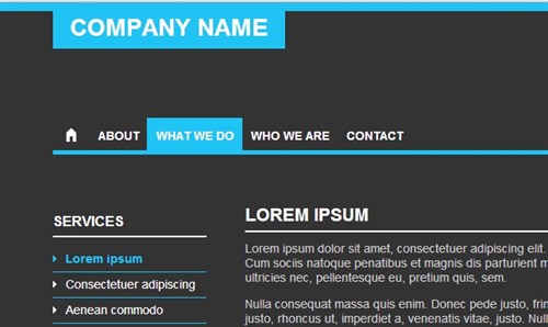 Company Sample Site